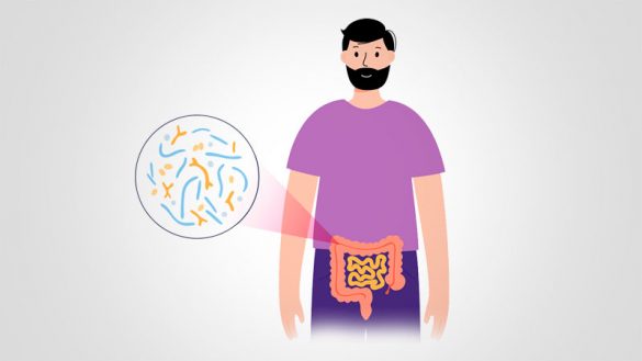 Ilustração do intestino