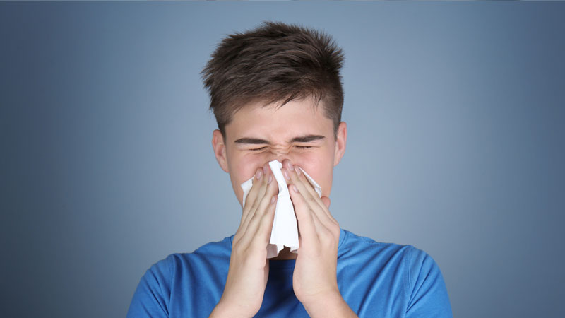 7 dicas para prevenir a febre dos fenos – hay fever